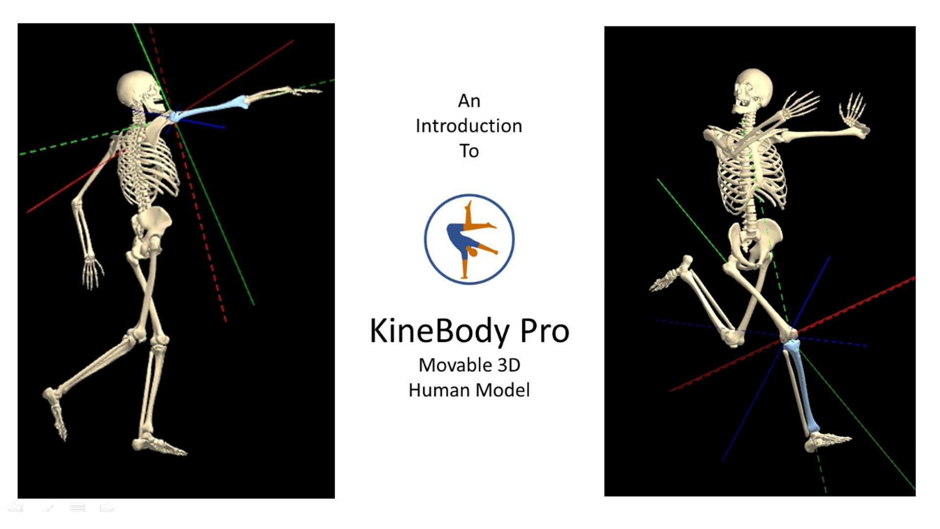 KineBody: Movable 3D Human Model